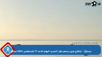 رسميًا.. ارتفاع كبير بسعر طن الحديد اليوم الأحد 17 أغسطس 2025 محليًا